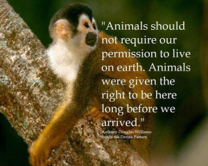 Animals have a right to be here...