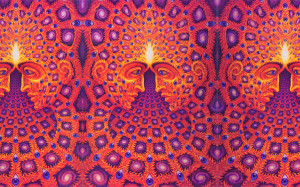 related with alex grey wallpapers alex grey wallpaper 1275x1754 0 kb