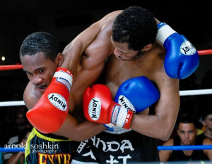 Muay Thai Kick Boxing Image