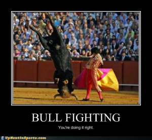 Funny Bulls – Bullfight In Spain