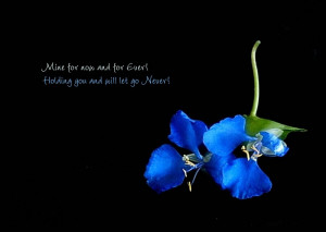 фотографии про любовь