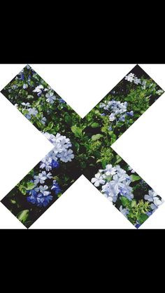 you guys feel if I made an account because I have sooo many ghost ...