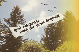 anymore, birds, bring me down, quote, sky, trees