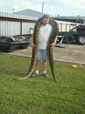 Thread: Largest snake that you can safely handle alone