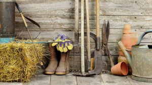 32 inspirational gardening quotes