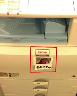 Ricoh Suave: Rico Suav, Work Shit, Offices Copy, Machine Meme, Finding ...