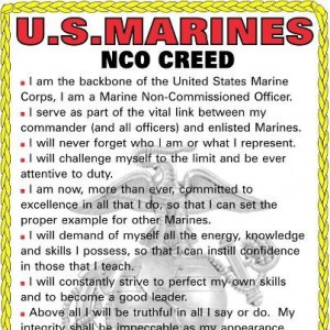 Nco Creed, Corps Pride, Marines Mom, Care Packaging, David, Marines ...