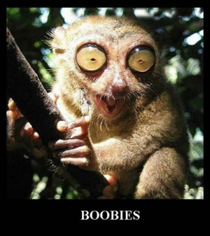 Funny Pictures Of The Day – 45 Pics