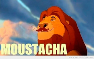 Related Pictures funny simba mufasa lion king scene