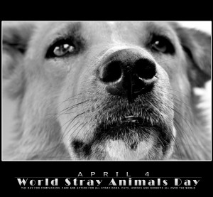 images animal s day quote happy world animal day a world animal ...