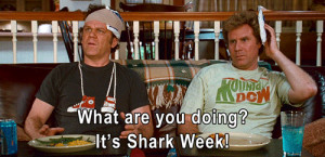 my gif gif film Step Brothers shark week hey it's actually Shark Week