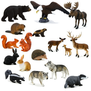 Forest Animal Pictures Animal Pictures for Kids with Captions to Color ...