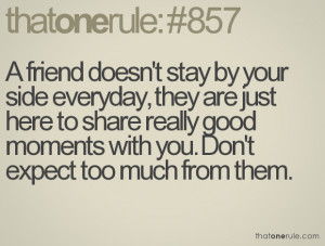 ... share really good moments with you. Don't expect too much from them
