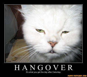 ... s1.static.gotsmile.net/images/2011/05/02/hangover-cat_130434770642.jpg