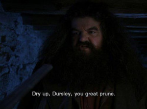 Epic Hagrid quote!