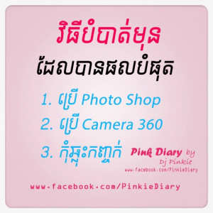 Credit And Source Pink Diary Pinkie