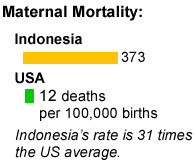 The maternal and infant mortality rates in Indonesia are startling.