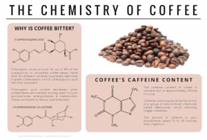 caffeine effects on the brain