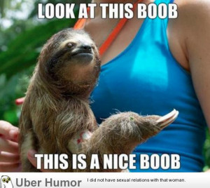 Dirty Sloth Jokes The funny pictures topic