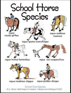 Horses are predictably unpredictable” - Loretta Gage
