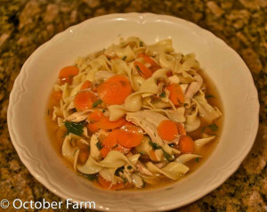 Octoberfarm: The Best Chicken Noodle Soup You Will Ever Eat