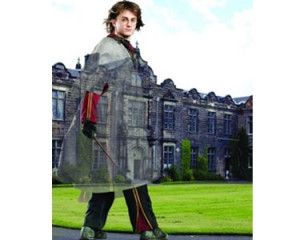 Related Pictures Dumbledore...