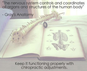 chiropractic # wellness # quotes mississauga chiropractor