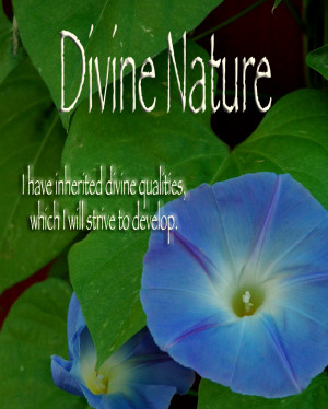 Divine Nature - September's Value