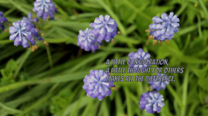 little consideration... quote wallpaper