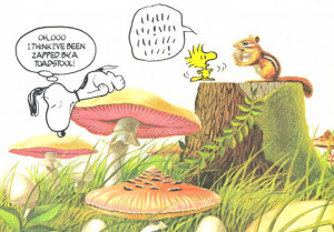 woodstock snoopy quotes