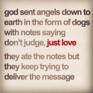 ... our dogs do. Pass it on. Remind someone that you love them today (not