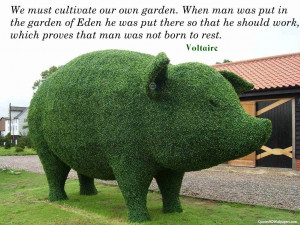 You can download Voltaire Gardening Quotes in your computer by ...