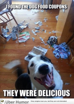 paused Beauty and the Beast at exactly the right (or wrong…) moment