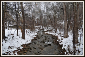 beautiful quote & beautiful scene in Baltimore County, MD
