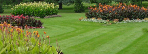 beautiful lawnscape png
