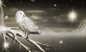 Snow Owl night scene by Pittyputty