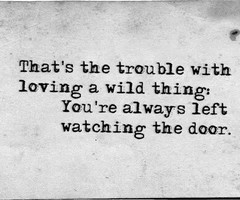callitwonderland Follow 3 months ago