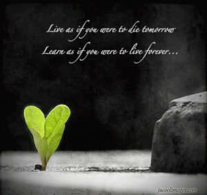 Quotes On Lifelong Learning ~ Adminstrator (Ejaz_D_RoxTar) Lifelong ...