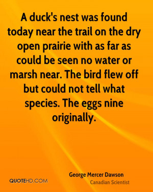 duck's nest was found today near the trail on the dry open prairie ...