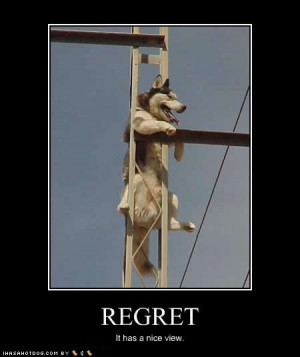 Funny Image Collection