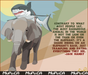 Elephant Shark – Jack Handy