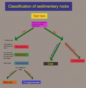 sedimentary rock layers diagram