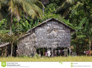 Traditional Palm Tree Home...