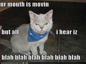 Enjoy Funny Cats Saying Funny Things HD Wallpapers For Desktop ...