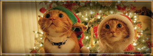 events-christmas-xmas-elf-cats-kitty-kitten-santa-mrs-clause-facebook ...