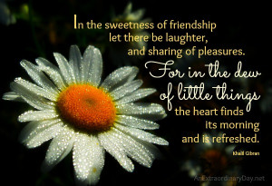 Friendship :: Dew Quote :: AnExtraordinaryDay.net