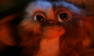 Gizmo Gremlins Funny Quotes
