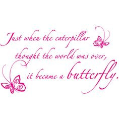 Butterfly quotes / change quotes