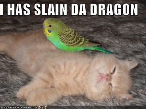 Cute-Funny-Kitten-03.jpg#funny%20kitten%20pics