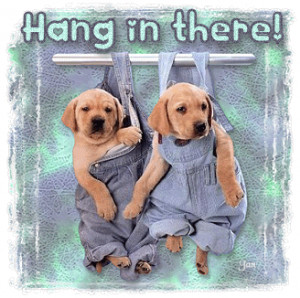 ... hang in there so i hope ya like these cute lil pups hugs tenderlee